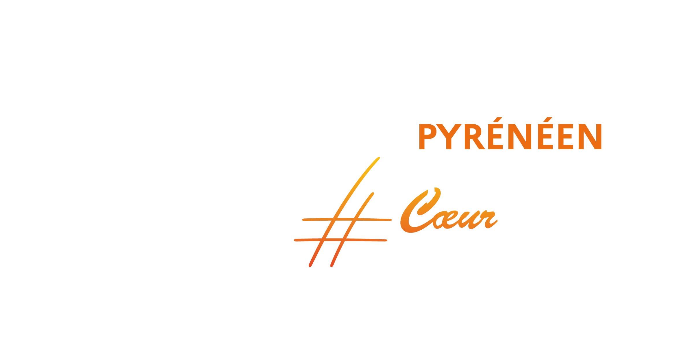Chateau fort - Musée pyrénéen