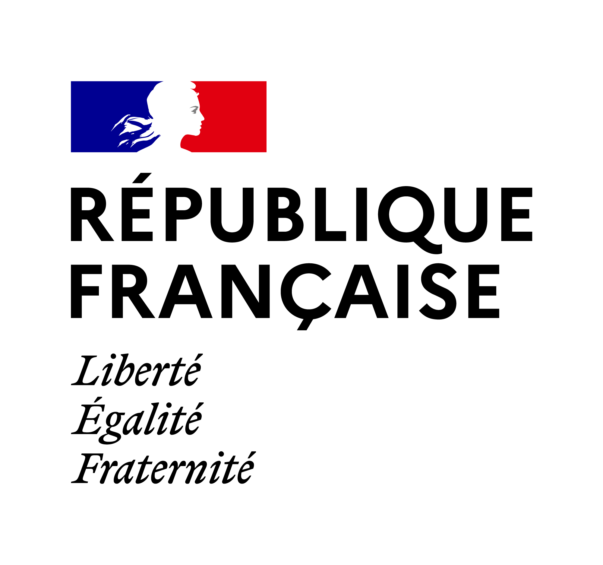 Republique francaise logo