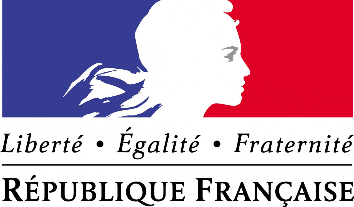 logo etat français