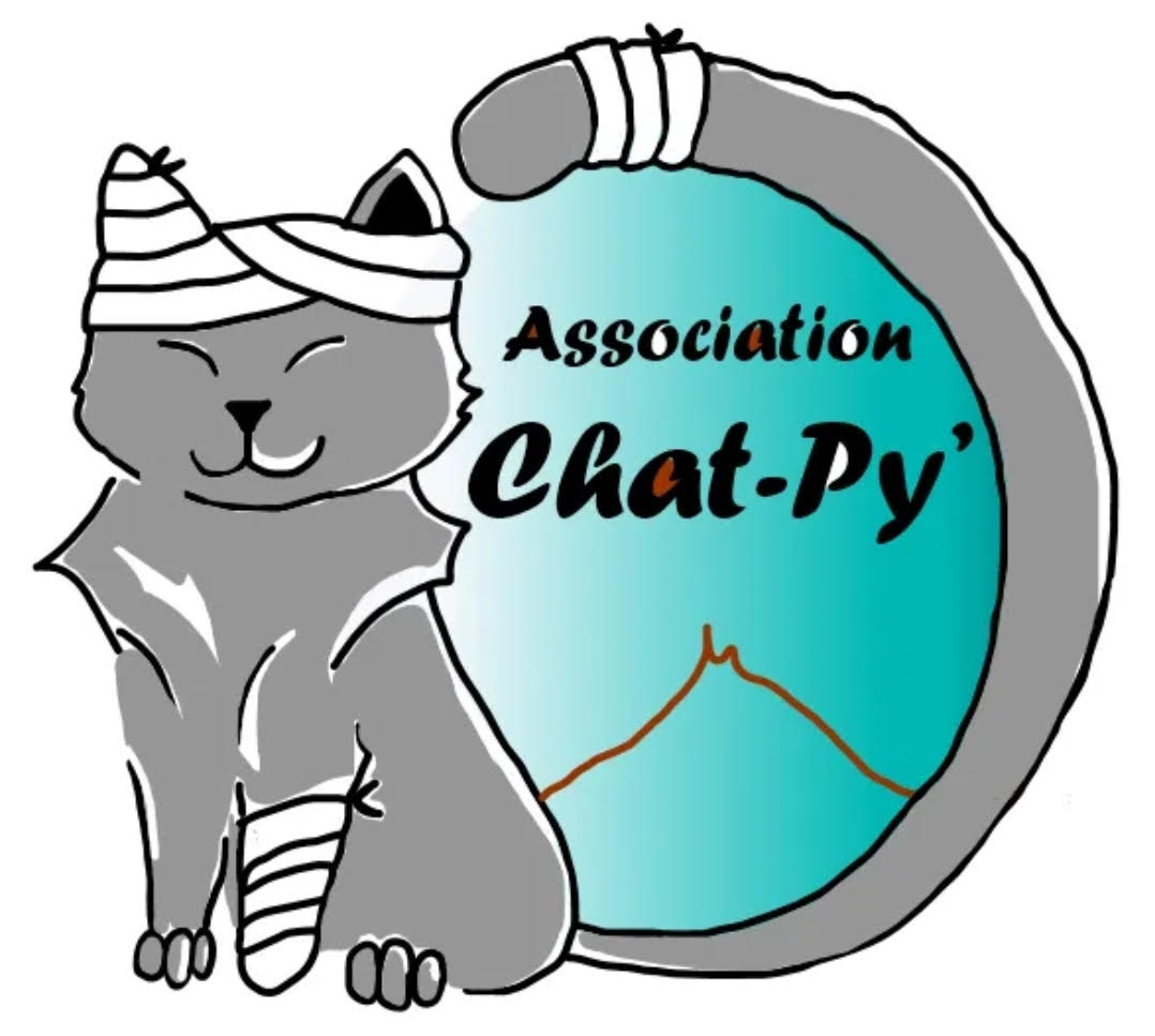 Chat py logo