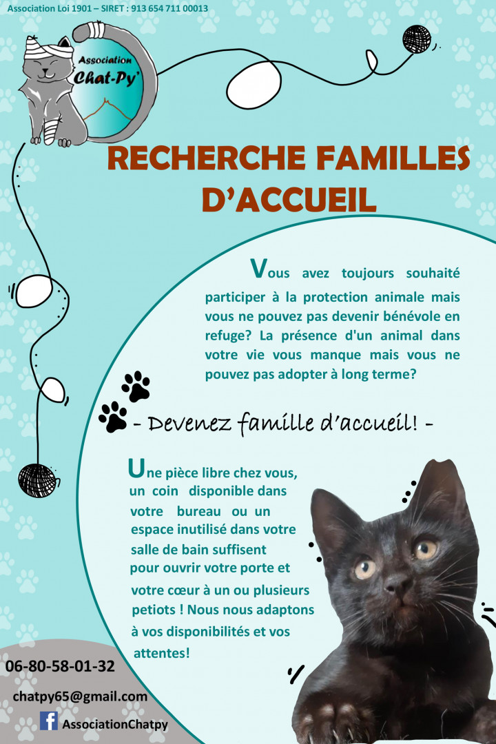 Flyer famille accueil Chat py