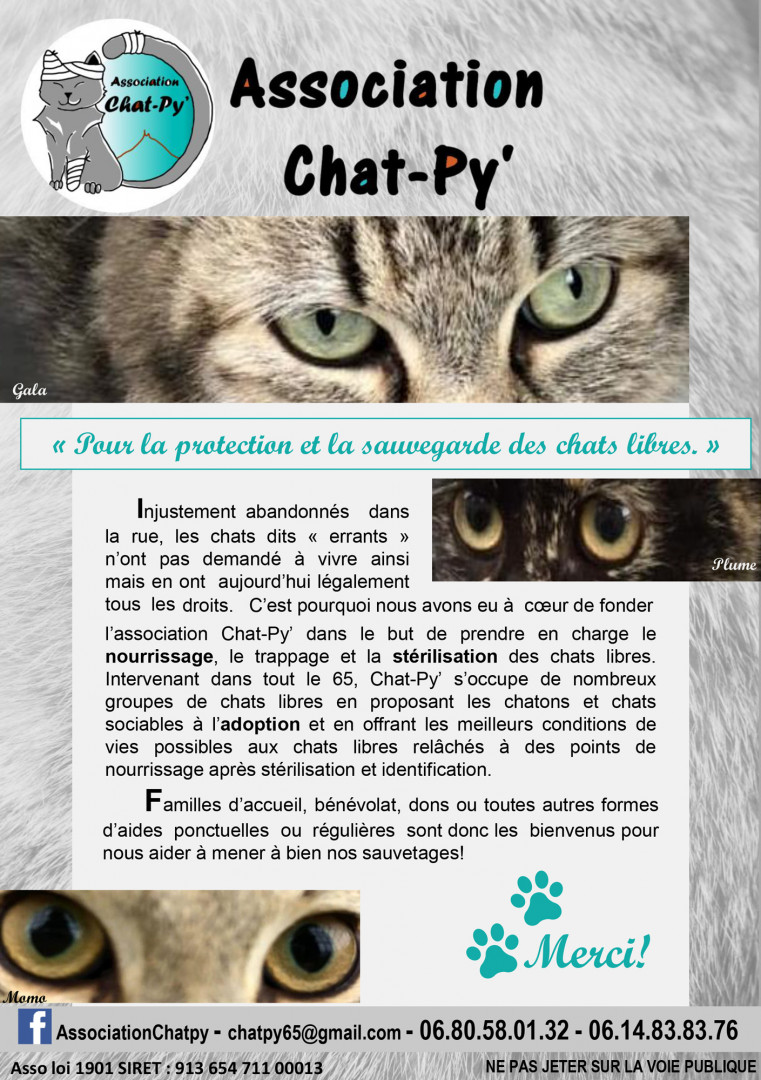 Flyer presentation Chat py