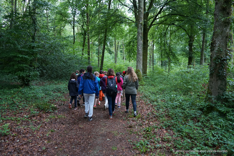 Rencontre scolaire en foret avec ONF 24