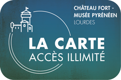 carte acces illimite chateau fort lourdes individuel