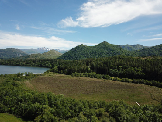 Tourbière Lac Lourdes