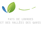 Logo PLVG png