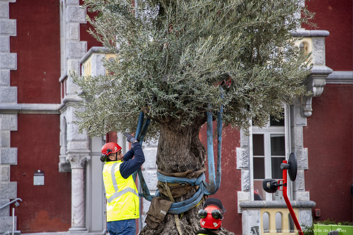 2024-02-15-Pose-installation-Olivier-Parvis-de-la-Mairie-03