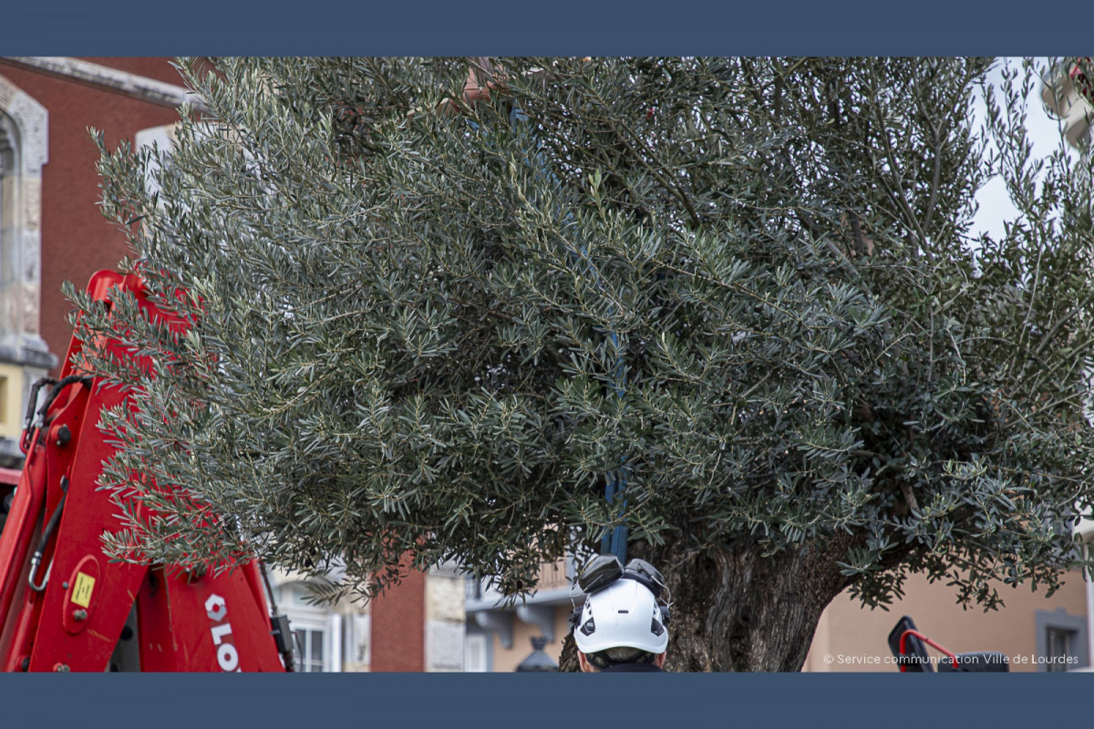 2024-02-15-Pose-installation-Olivier-Parvis-de-la-Mairie-33