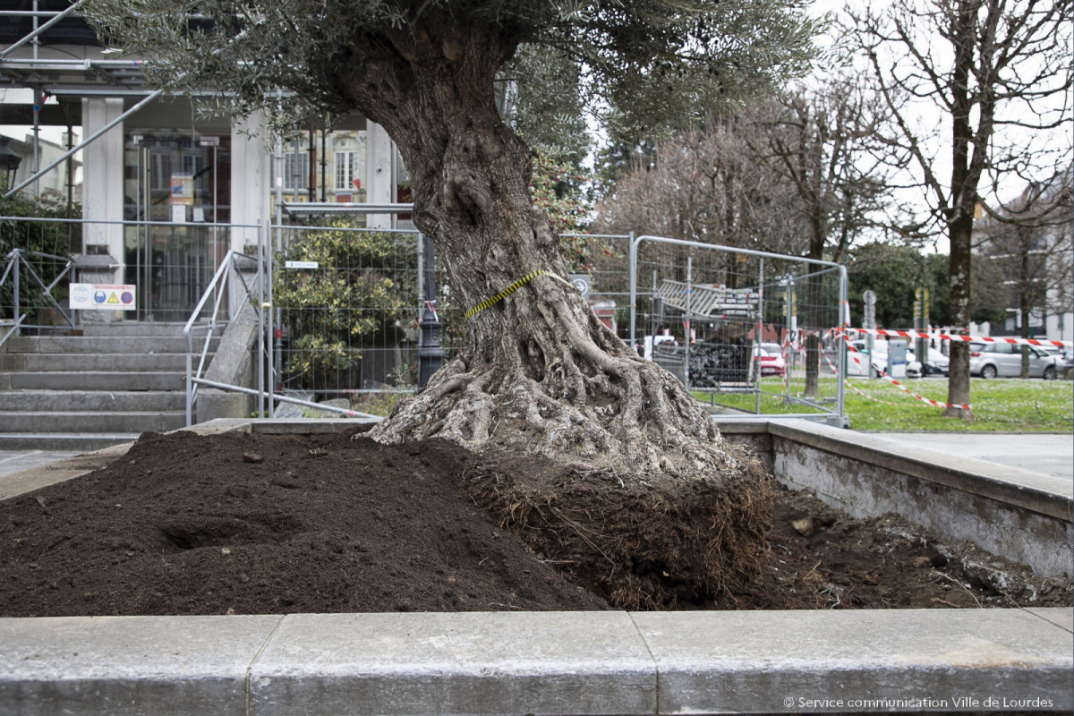 2024-02-15-Pose-installation-Olivier-Parvis-de-la-Mairie-35