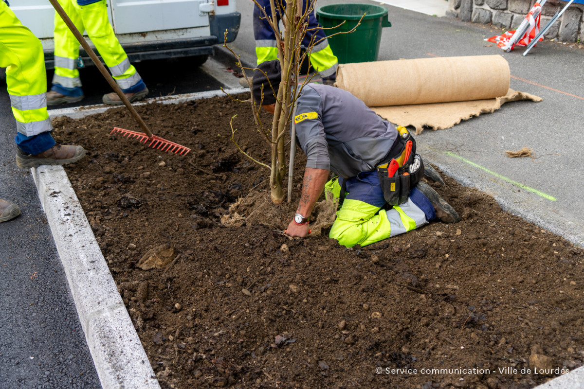 2024-03-19-Travaux-Service-Espaces-Verts-Avenue-Foch-28