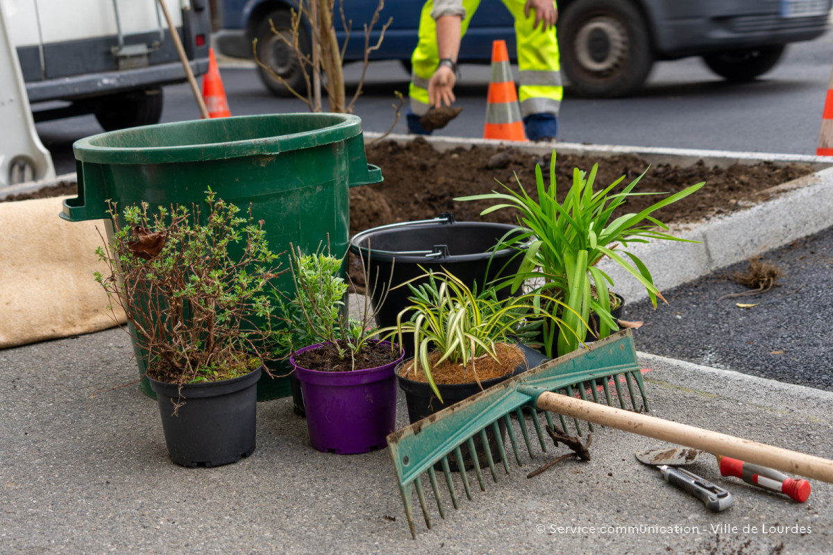 2024-03-19-Travaux-Service-Espaces-Verts-Avenue-Foch-30