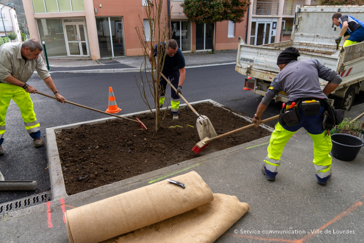 2024-03-19-Travaux-Service-Espaces-Verts-Avenue-Foch-39