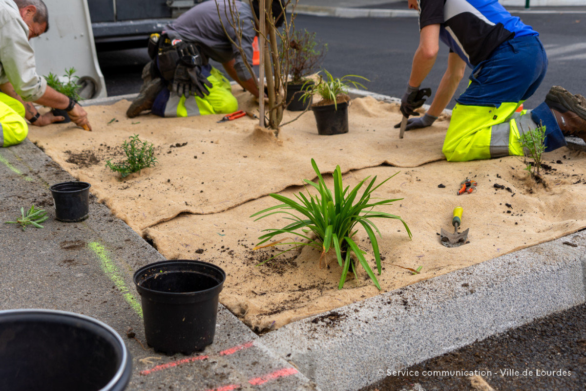 2024-03-19-Travaux-Service-Espaces-Verts-Avenue-Foch-58