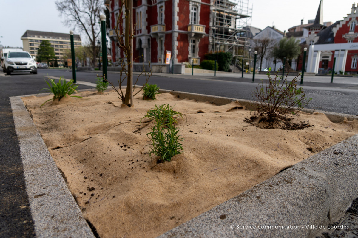 2024-03-19-Travaux-Service-Espaces-Verts-Avenue-Foch-75