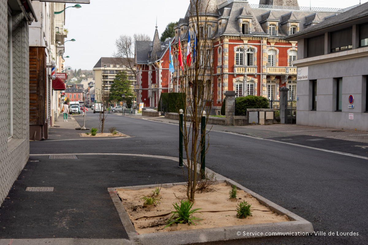 2024-03-19-Travaux-Service-Espaces-Verts-Avenue-Foch-84