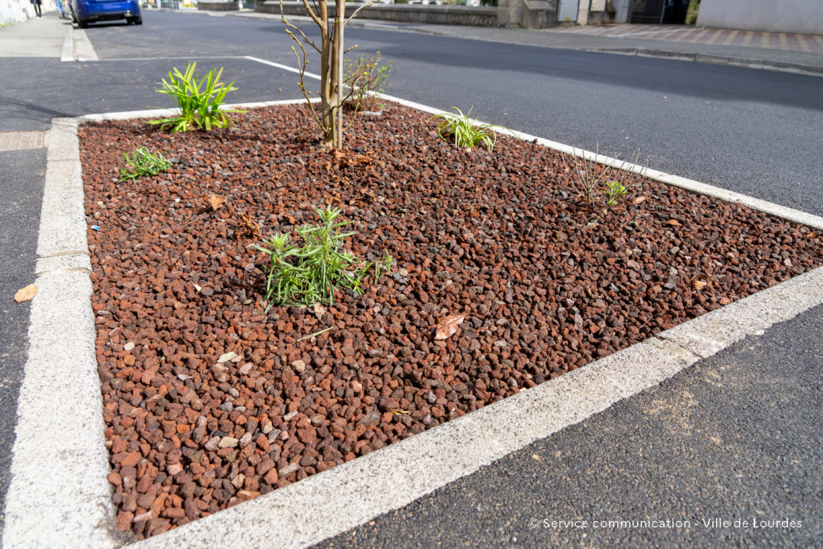 2024-03-19-Travaux-Service-Espaces-Verts-Avenue-Foch-89