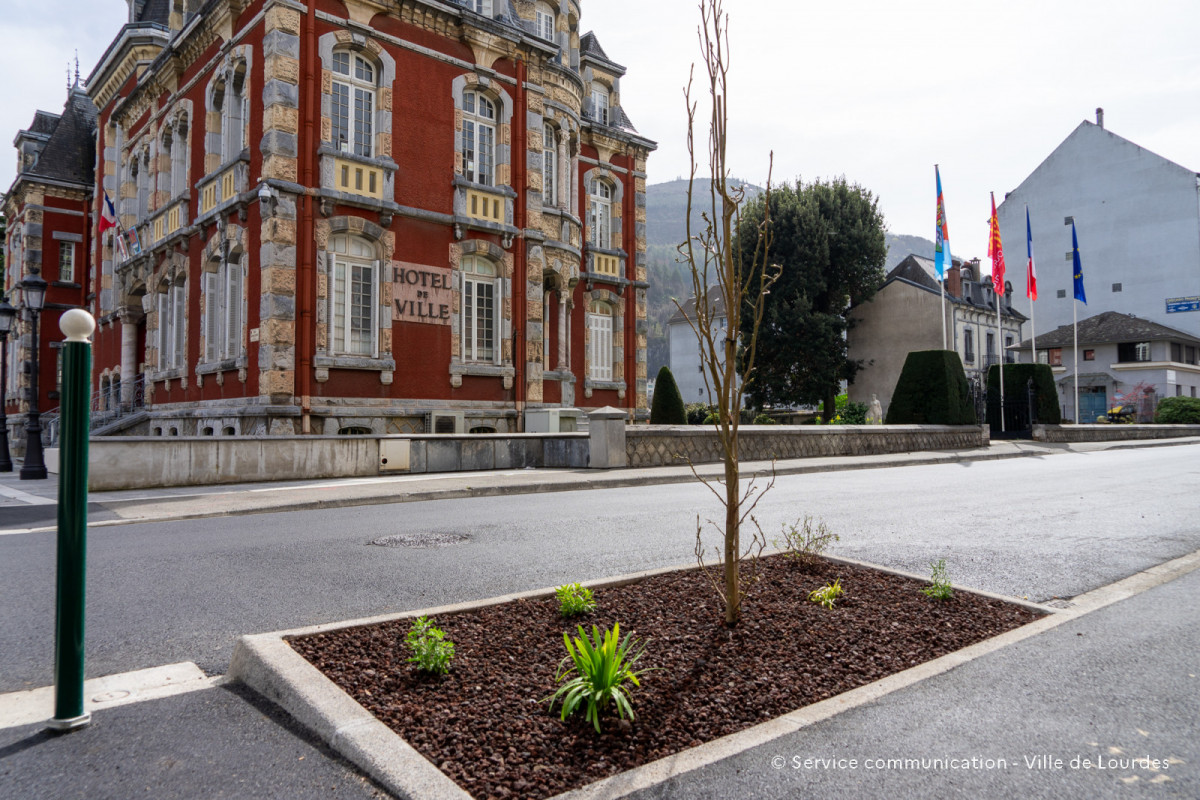 2024-03-19-Travaux-Service-Espaces-Verts-Avenue-Foch-98