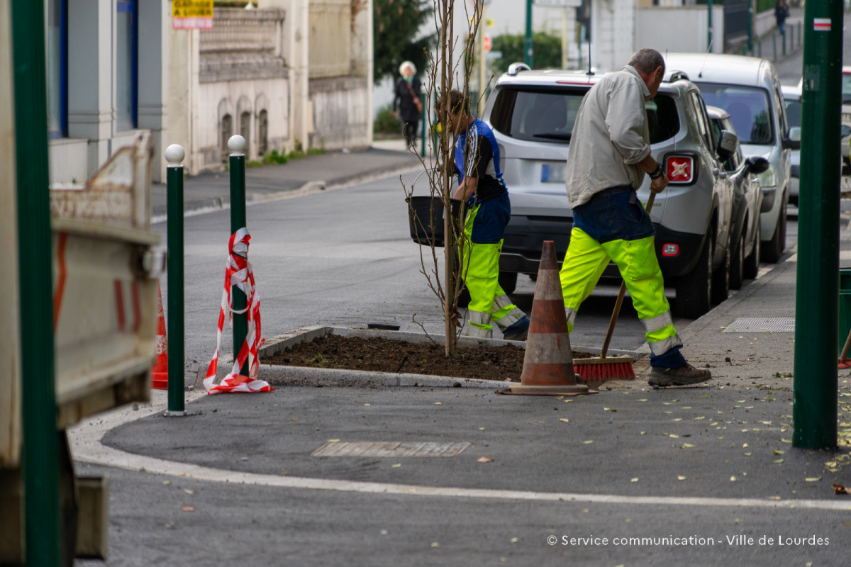 2024-03-19-Travaux-Service-Espaces-Verts-Avenue-Foch-24