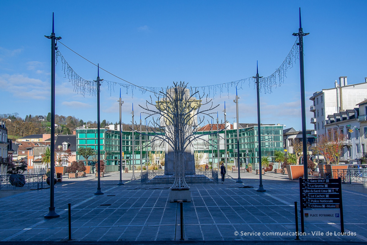 2024-12-04-Installation-Arbre-de-vie-Place-Peyramale-Decorations-Noel-16-redim-droppics