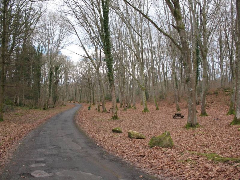 web-Bois-de-Lourdes-5