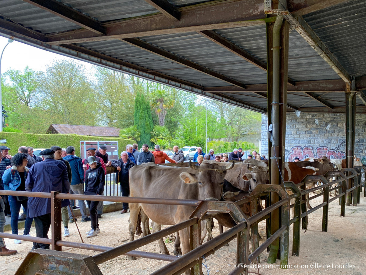 2022-04-28Marche-aux-Bestiaux-printempsservice-communication-ville-de-Lourdes-10