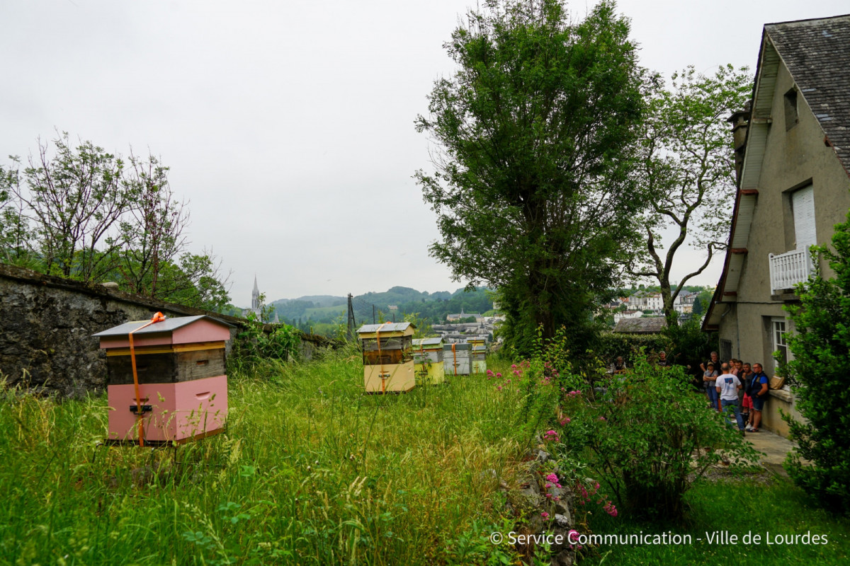 2022-05-20-Journee-mondiale-des-abeilles---Ruches-Chateau-12