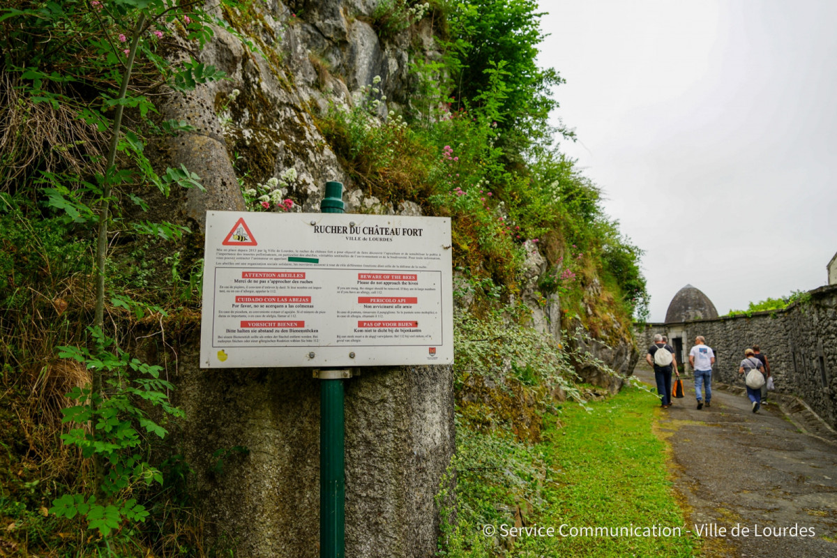 2022-05-20-Journee-mondiale-des-abeilles---Ruches-Chateau-2