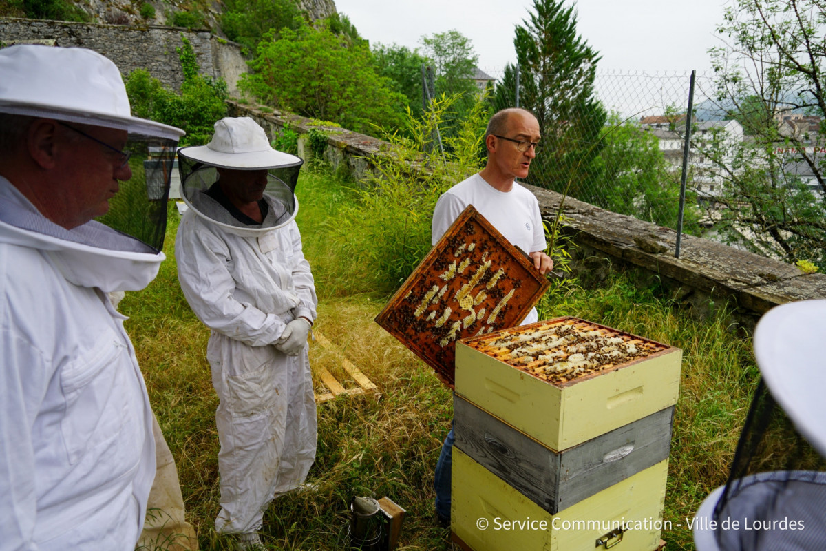 2022-05-20-Journee-mondiale-des-abeilles---Ruches-Chateau-20