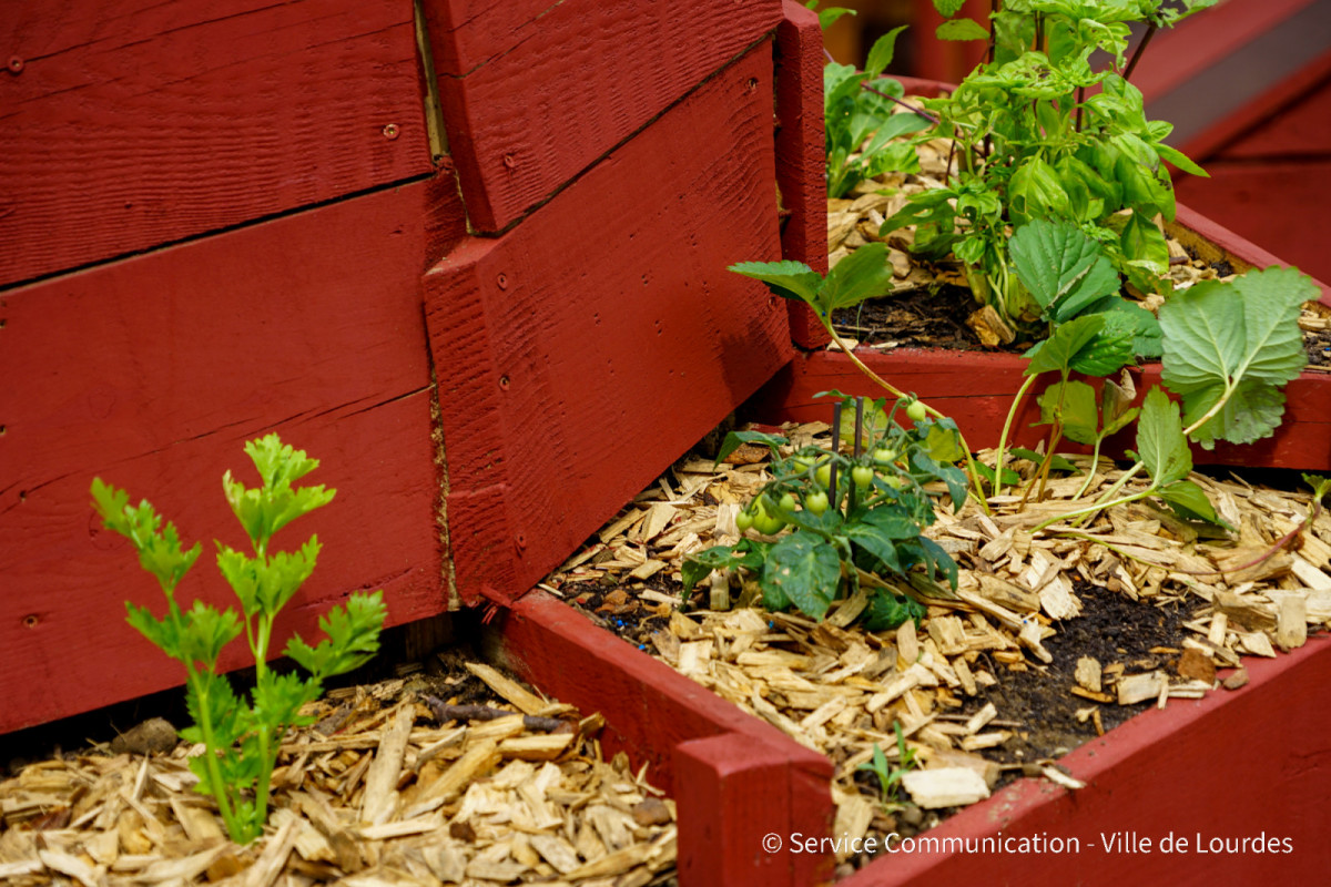 2022-05-20-Restitution-Jardin-Partage-Lannedarre-service-communication-ville-de-lourdes--17