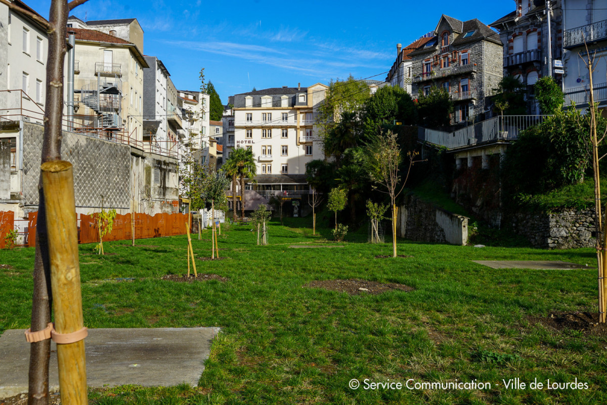 2022-11-30-Arbres--Chantier-Quai-Saint-Jean-1