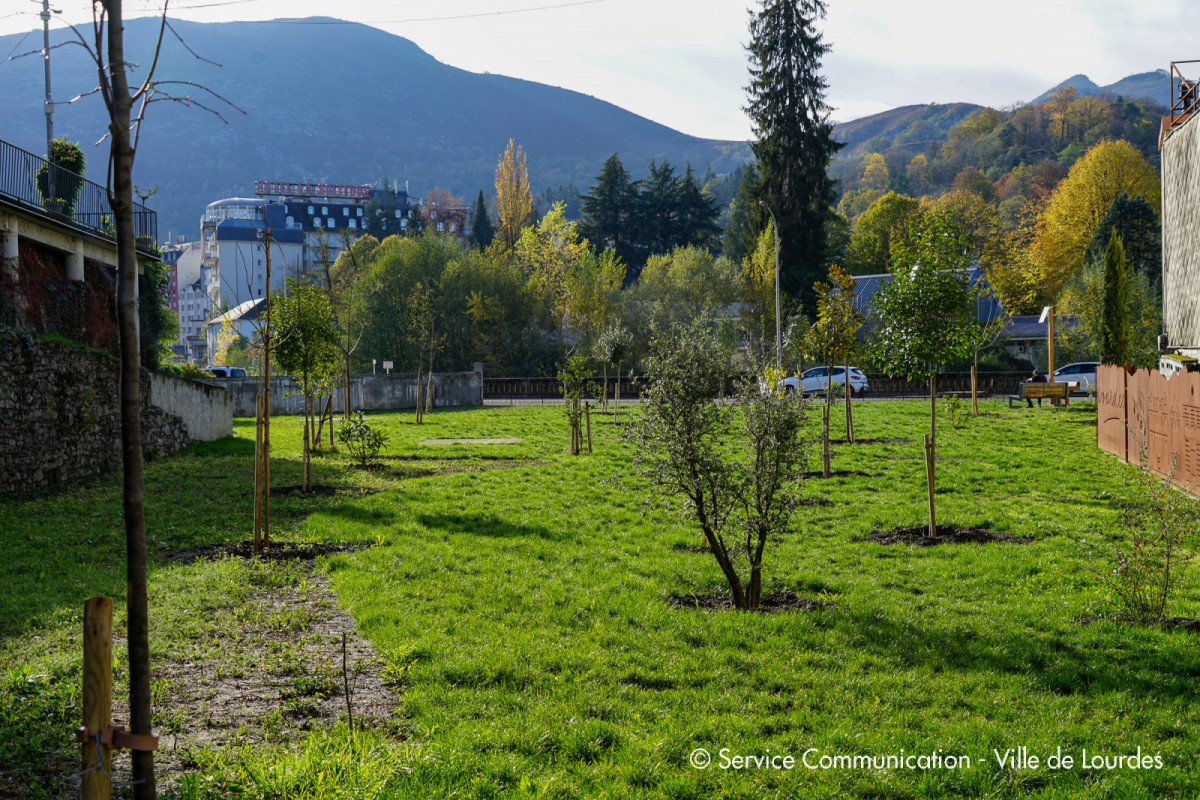 2022-11-30-Arbres--Chantier-Quai-Saint-Jean-3