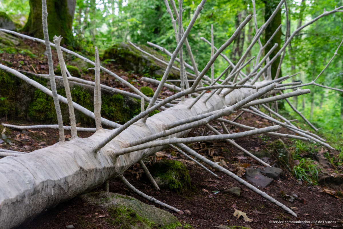 2023-07-13-Vernissage-Arbre-Embaume-11