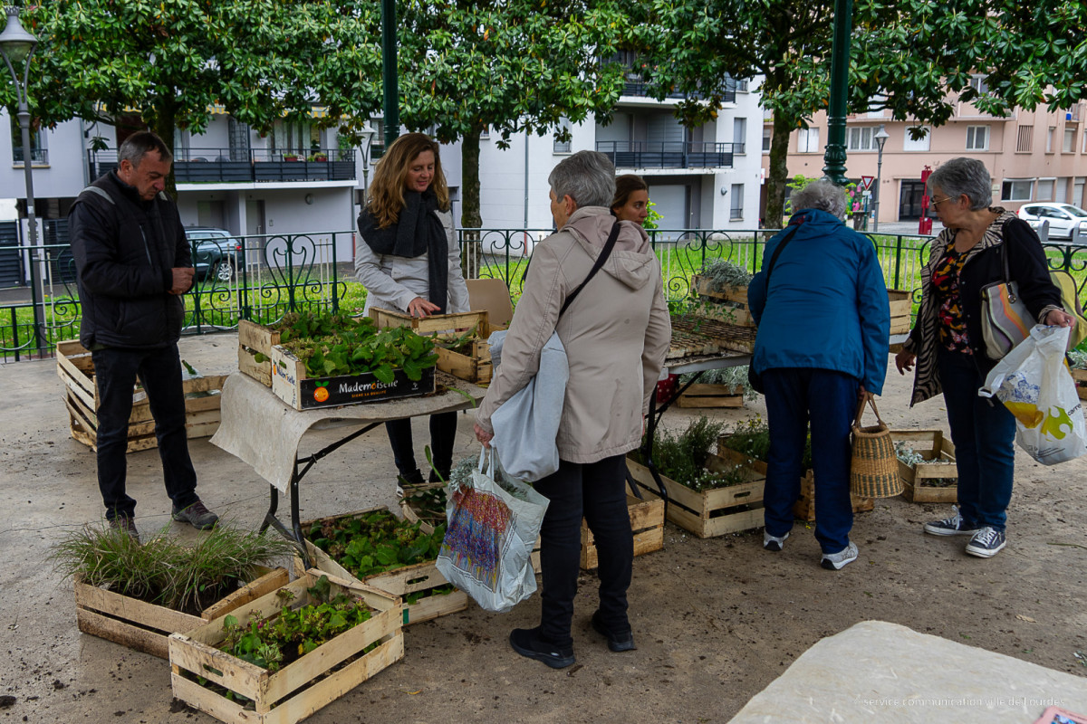 2023-05-13-Adopte-une-plante-08