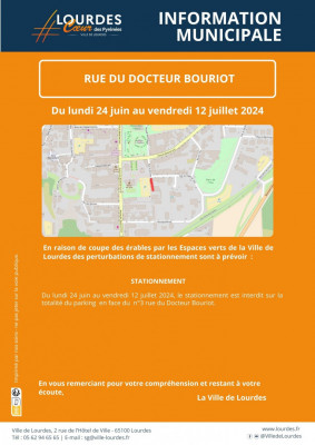 Travaux coupe des érables rue dr Bouriot du 24 juin au 12 juillet 1