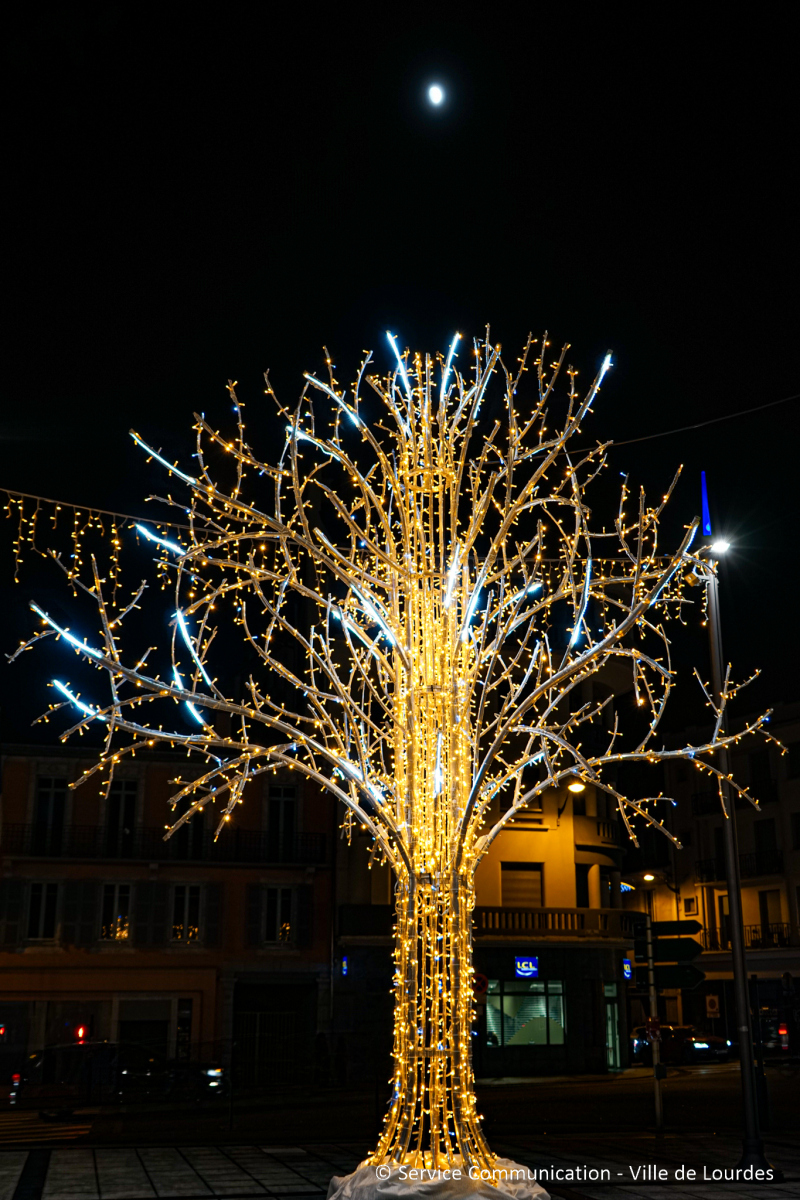 2025-12-01_illuminations_decorations_ville_nuit-022