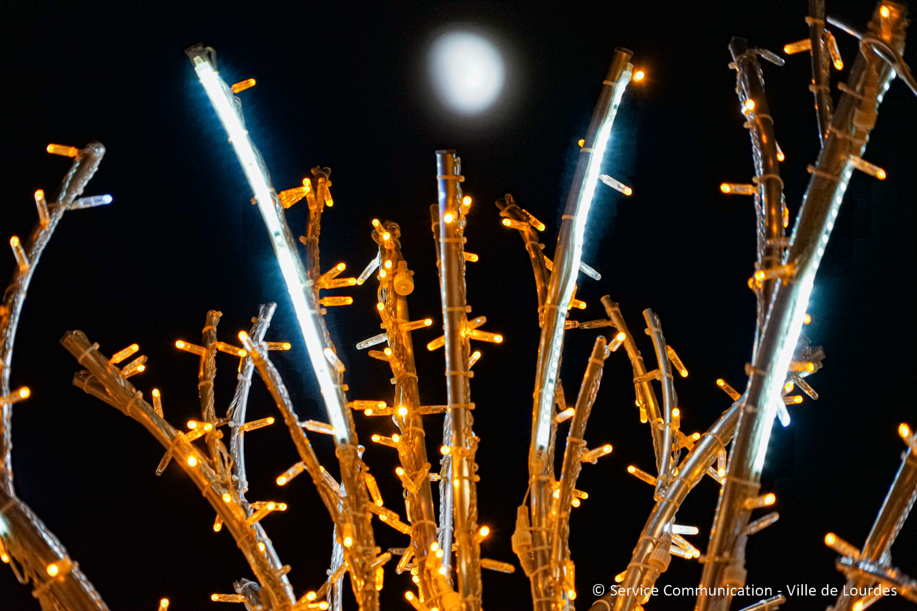 2025-12-01_illuminations_decorations_ville_nuit-023