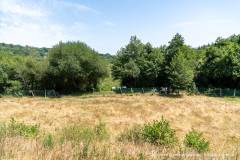 2026-07-22_point_rencontre_nature_tourbiere_lac_natura-2000-01