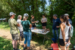 2026-07-22_point_rencontre_nature_tourbiere_lac_natura-2000-11