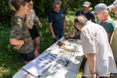 2026-07-22_point_rencontre_nature_tourbiere_lac_natura-2000-13