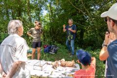 2026-07-22_point_rencontre_nature_tourbiere_lac_natura-2000-21