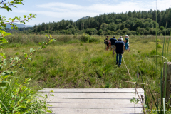 2026-07-22_point_rencontre_nature_tourbiere_lac_natura-2000-29