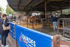 2026-10-17_foire_saint-luc_tydos-003