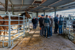 2026-10-17_foire_saint-luc_tydos-004