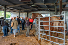 2026-10-17_foire_saint-luc_tydos-005