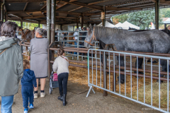 2026-10-17_foire_saint-luc_tydos-012