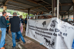2026-10-17_foire_saint-luc_tydos-013