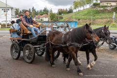 2026-10-17_foire_saint-luc_tydos-035