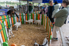 2026-10-17_foire_saint-luc_tydos-036