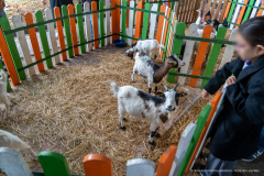 2026-10-17_foire_saint-luc_tydos-038