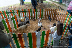 2026-10-17_foire_saint-luc_tydos-043